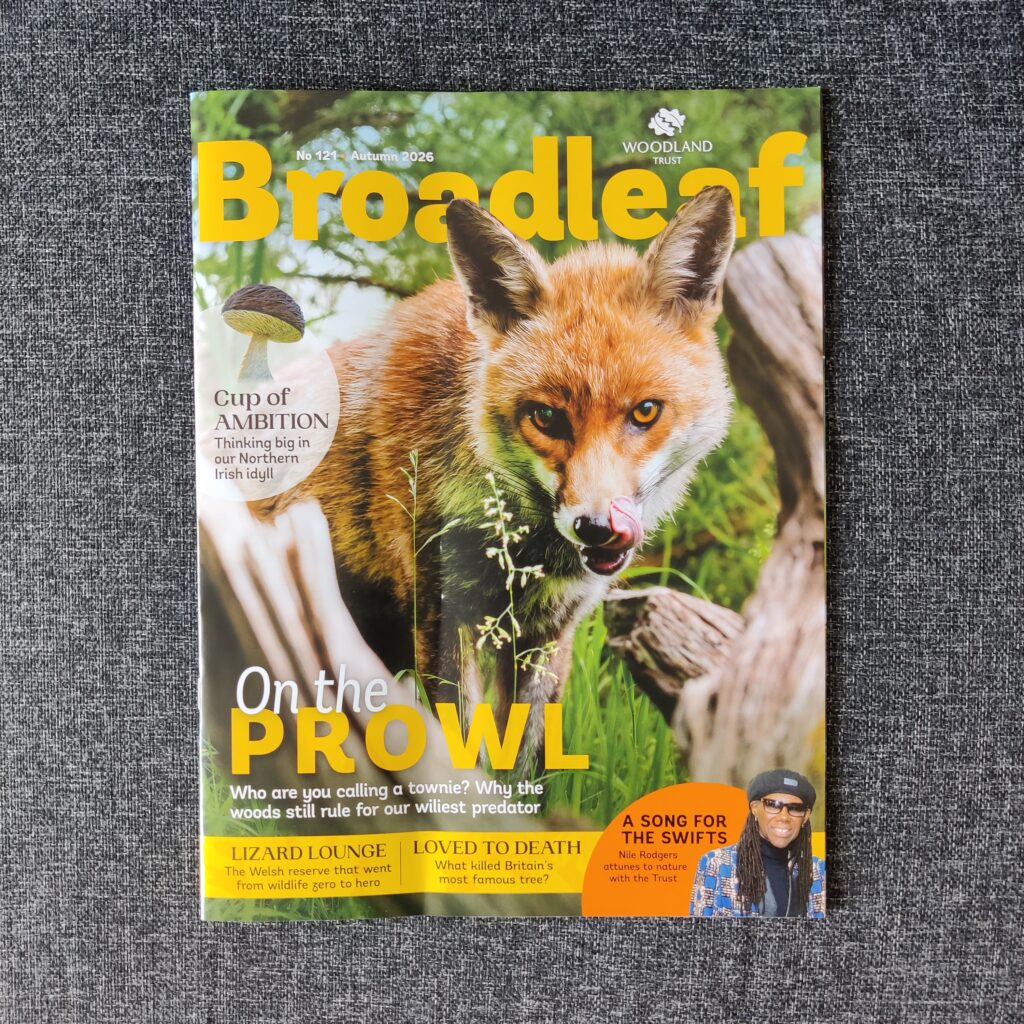 Broadleaf Magazine - Autumn 2026
